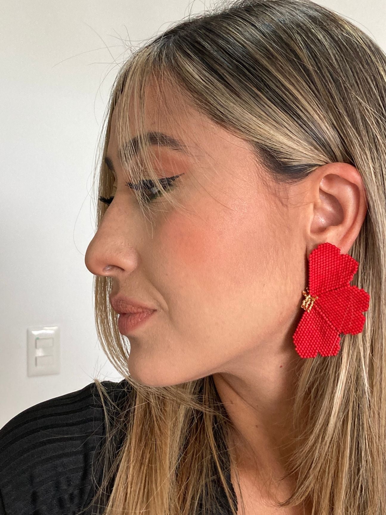 Aretes Pasión