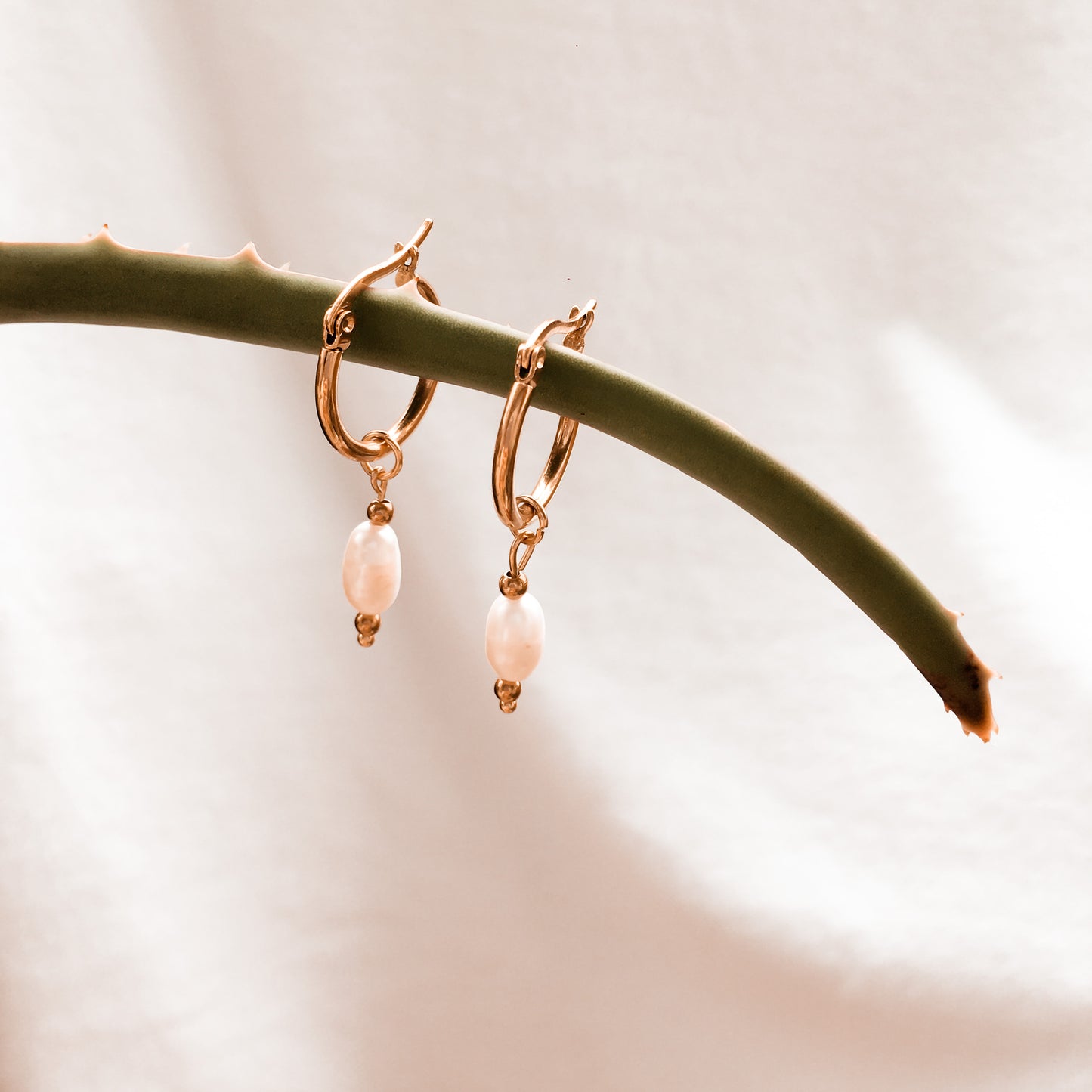 Aretes Río